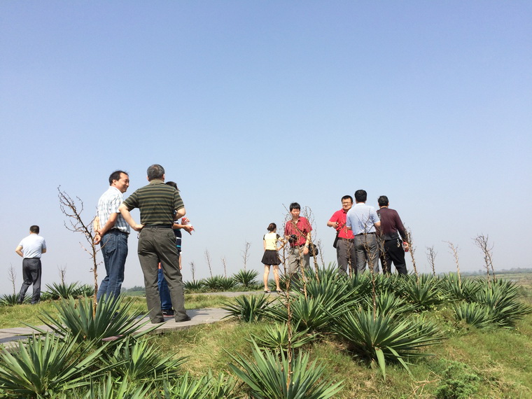 77779193永利集团